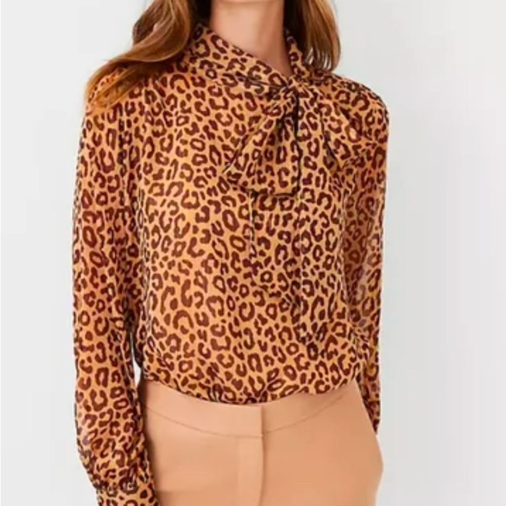 Leopard Print Women's Top